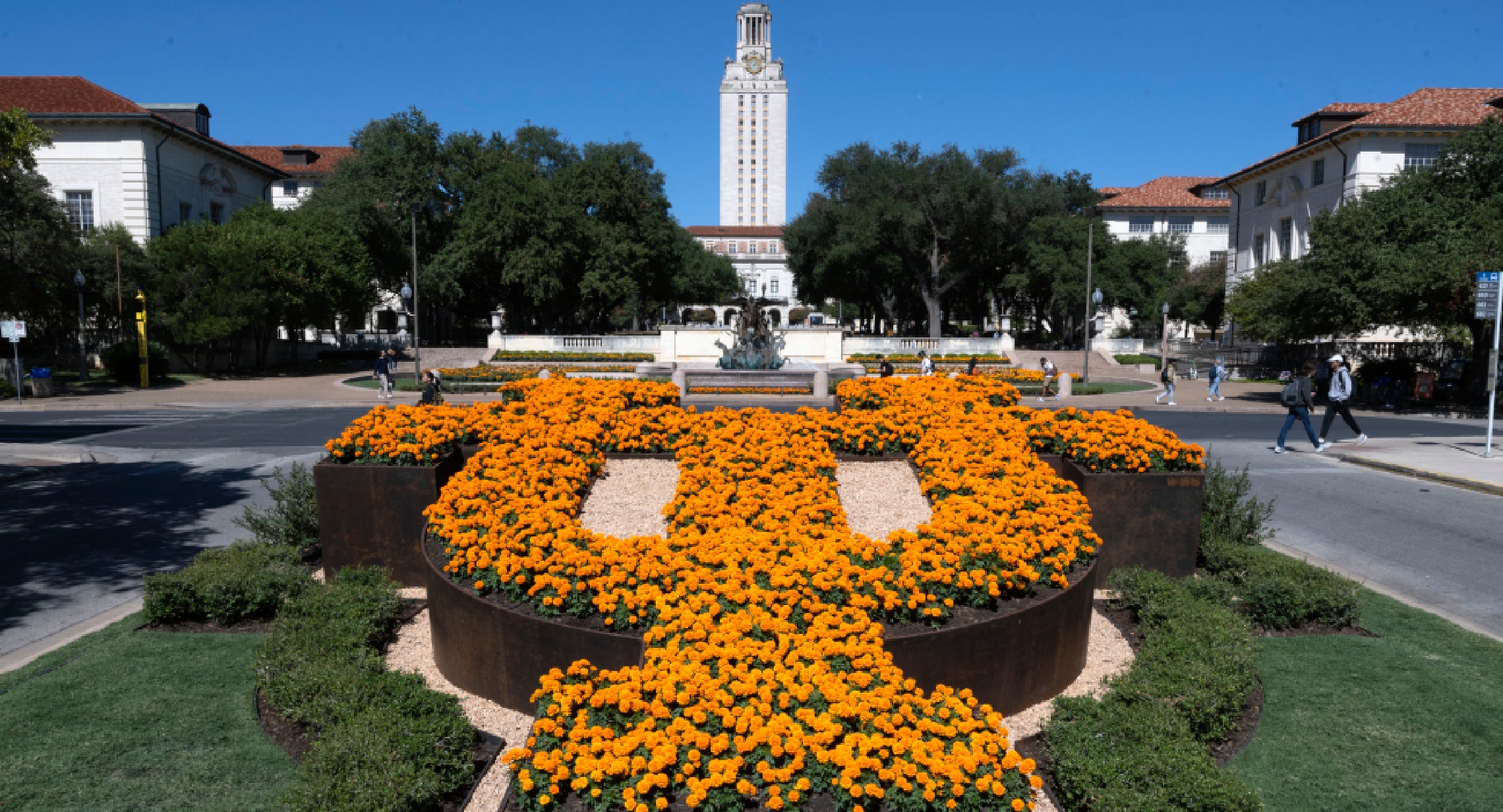 "UT" shaped orange hedge beneath the Tower