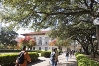 Students walking across a beautiful campus on a beautiful day.